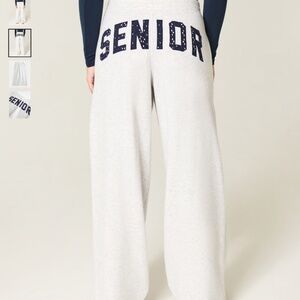 Hollister Viral Senior Graphic Baggy Sweatpants - NWT